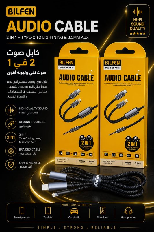 Câble audio 2-en-1